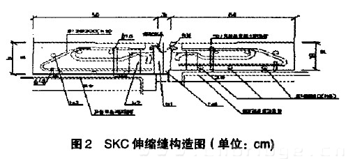 圖2 SKC伸縮縫構造圖(單位：cm)