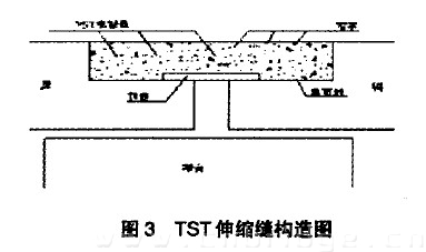 　圖3 TST伸縮縫構造圈