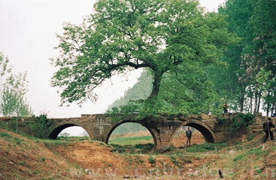 安徽三環(huán)橋