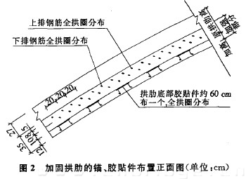 圖2 加固拱肋的錨、膠貼件布置正面圖（單位：cm）