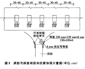 圖5 拱肋與拱波間徑向抗剪加強(qiáng)示意圖（單位：cm）